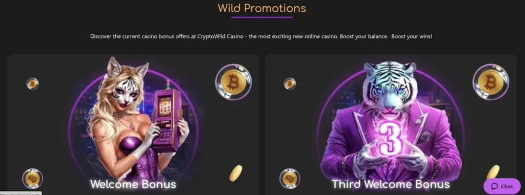 CryptoWild Promotions and Bonus Display