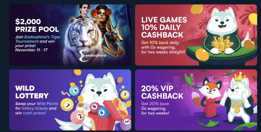 Wild.io Casino lottery