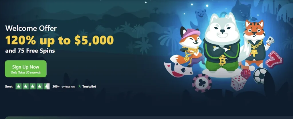 Wild.io Casino welcome bonuse 120%